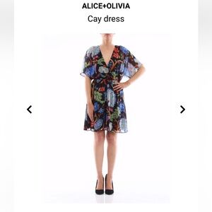 Alice and Olivia Cay dress